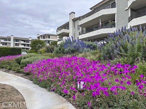 210 Lille Lane, Unit 218 Newport Beach, CA 92663 - Photo 29 of 45 a view of a flower in a garden of a house