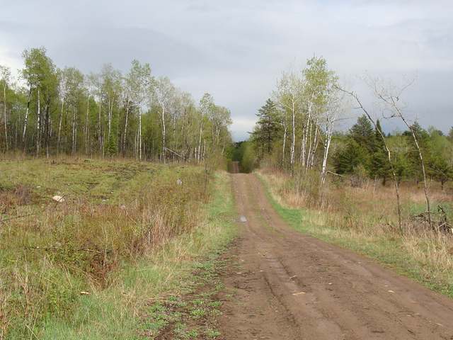 6-ac Steele Road Harshaw, WI 54529 - Photo 6 of 6 Gallery Image 6