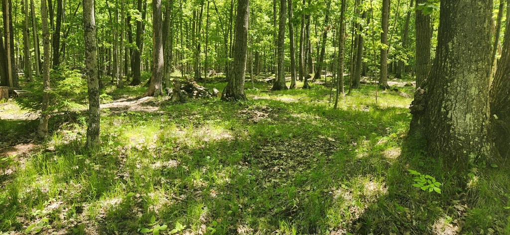 8108 Deer Ridge Baileys Harbor, WI 54202 - Photo 2 of 14