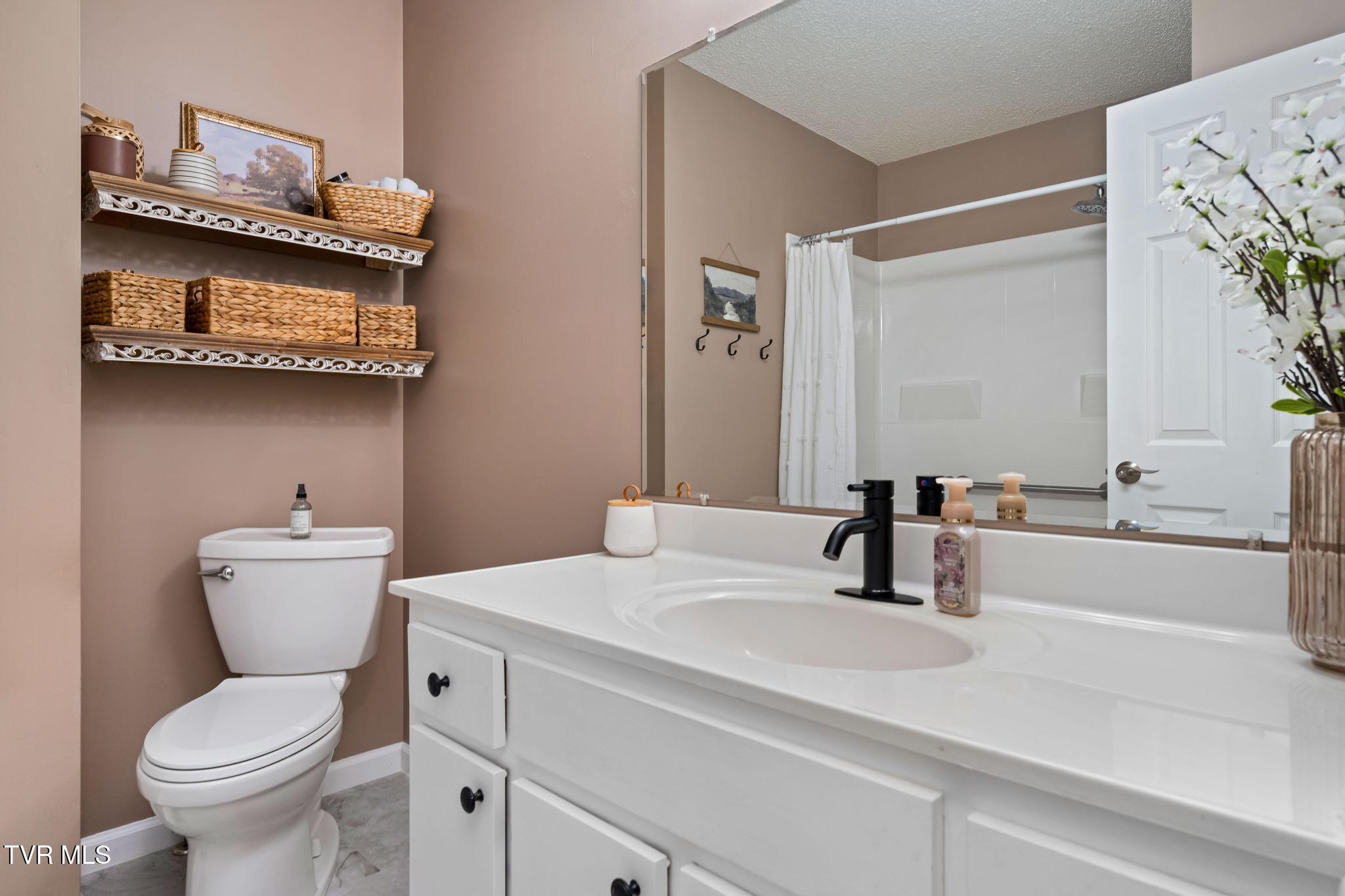 605 Old Snapps Ferry Road Chuckey, TN 37641 - Photo 22 of 44 605 Old Snapps Ferry Road (43 of 48)