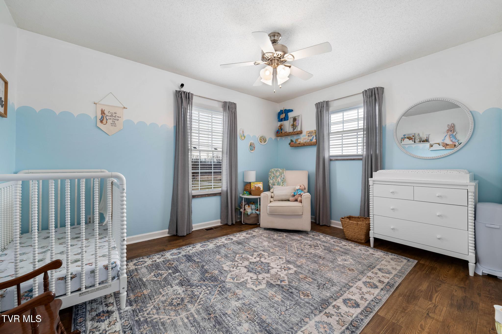 605 Old Snapps Ferry Road Chuckey, TN 37641 - Photo 23 of 44 605 Old Snapps Ferry Road (44 of 48)