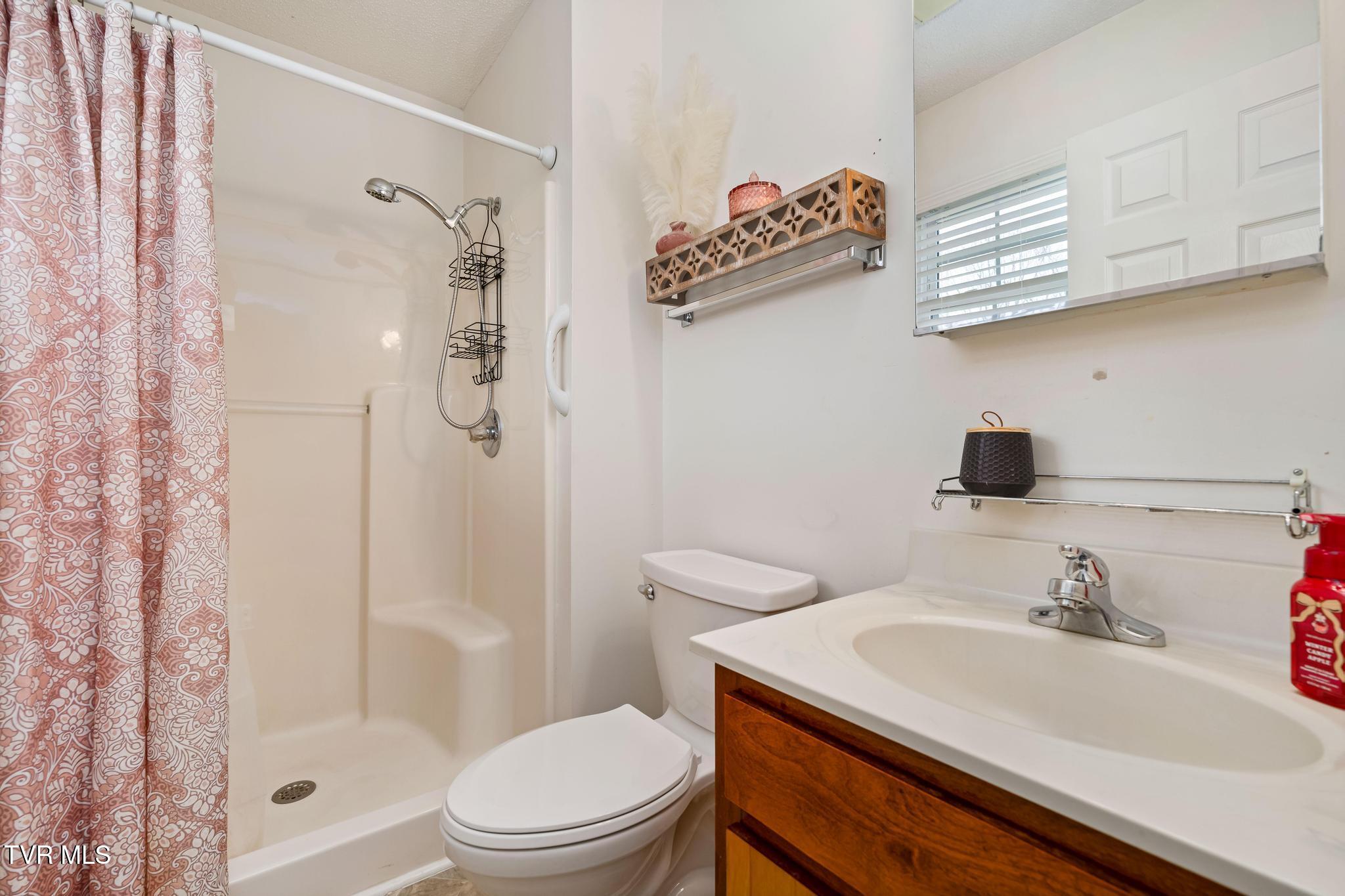 605 Old Snapps Ferry Road Chuckey, TN 37641 - Photo 27 of 44 605 Old Snapps Ferry Road (48 of 48)