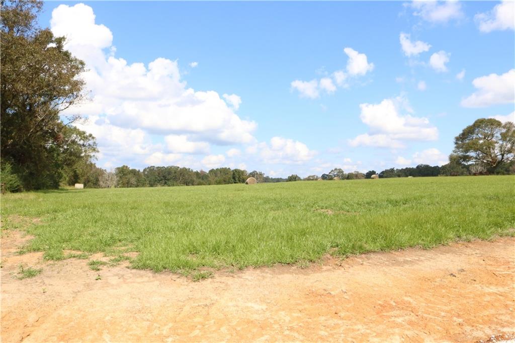 Lot 11 Zack Magee Road Angie, LA 70426 - Photo 1 of 4 Gallery Image 1
