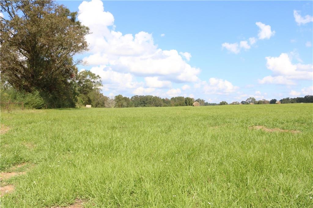 Lot 11 Zack Magee Road Angie, LA 70426 - Photo 2 of 4 Gallery Image 2