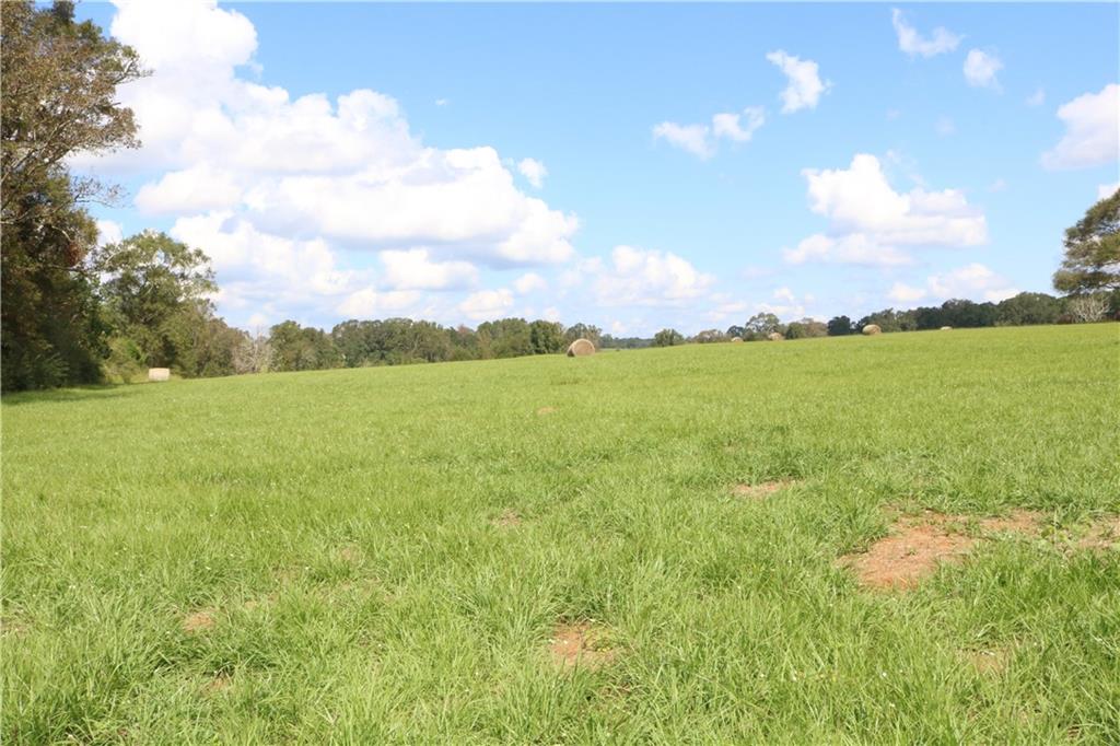 Lot 11 Zack Magee Road Angie, LA 70426 - Photo 3 of 4 Gallery Image 3