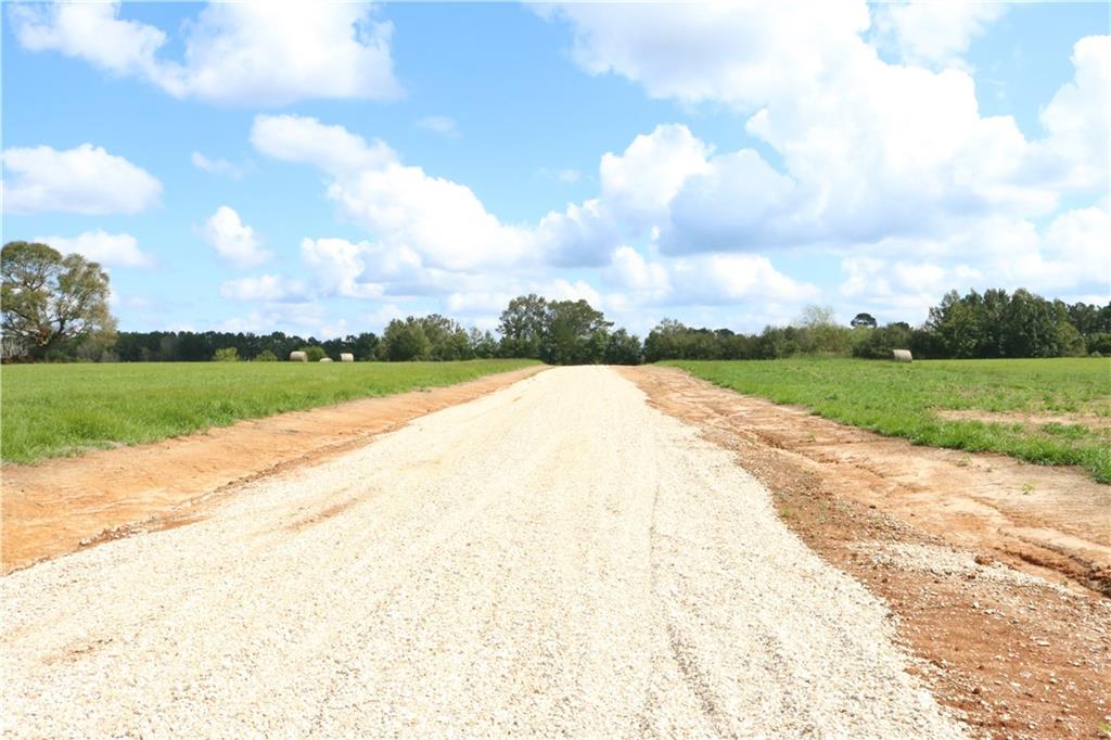 Lot 11 Zack Magee Road Angie, LA 70426 - Photo 4 of 4 Gallery Image 4