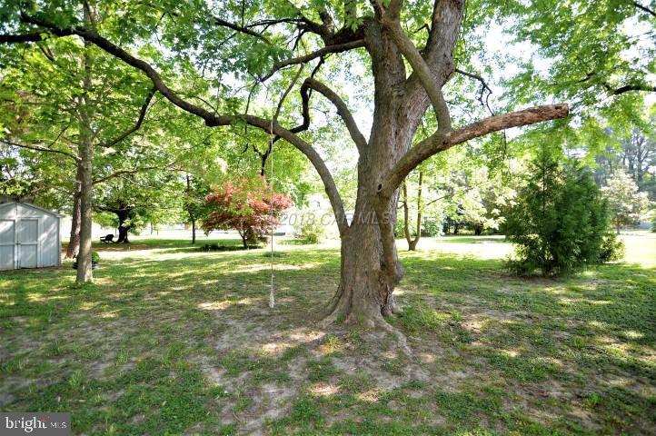 30204 John Somers Road Princess Anne, MD 21853 - Photo 32 of 33