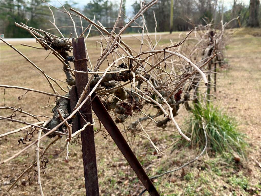 3232 Bevis Road Franklin, GA 30217 - Photo 28 of 31