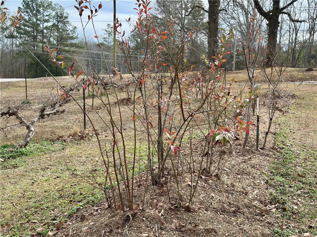 3232 Bevis Road Franklin, GA 30217 - Photo 29 of 31