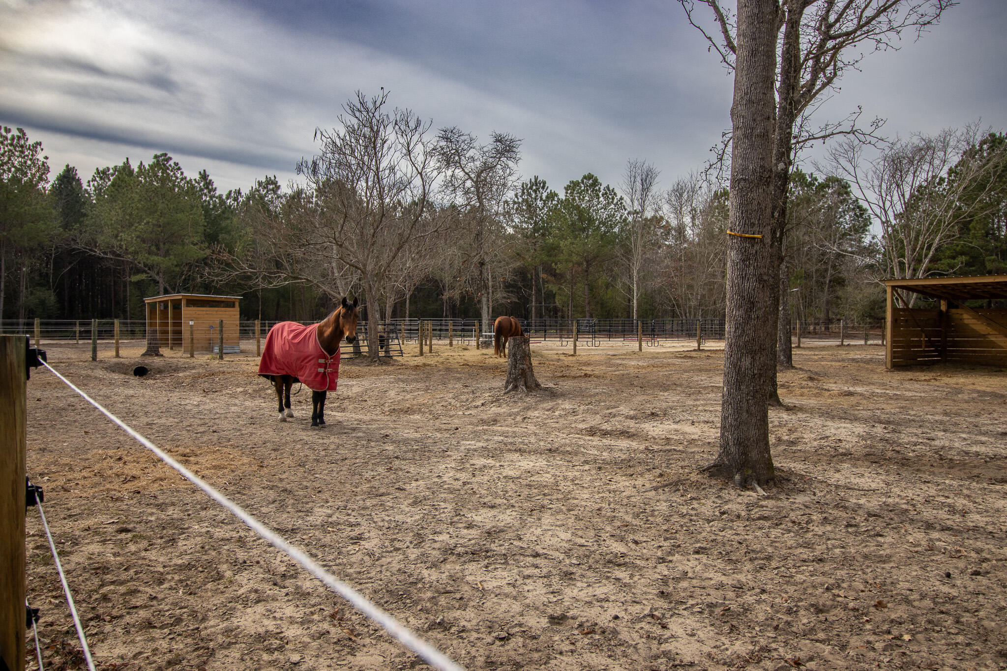 142 Hopewell Road North, SC 29112 - Photo 28 of 112
