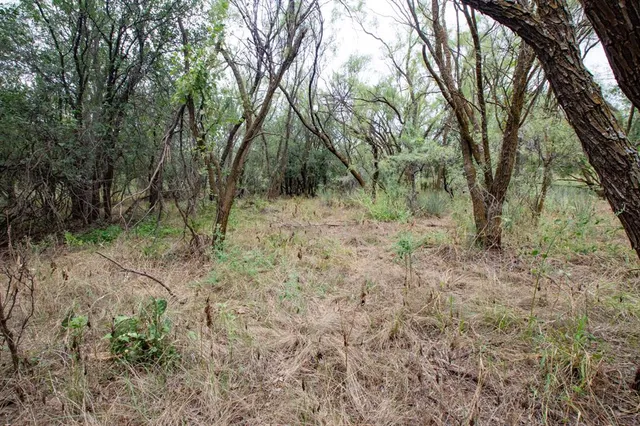 a view of outdoor space and trees