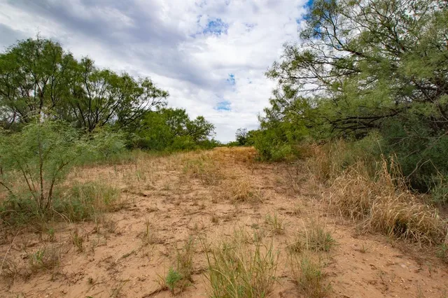 a view of a lake with lots of trees