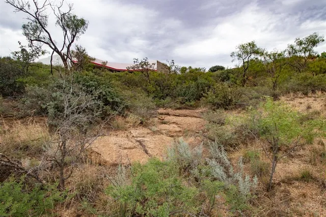 a view of a field of grass and trees