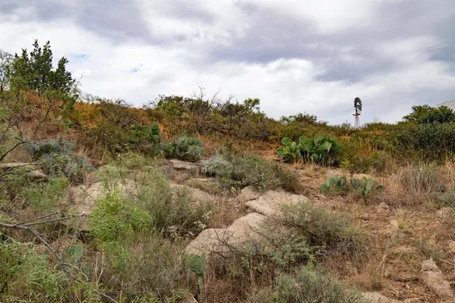 a view of a city with lush green forest