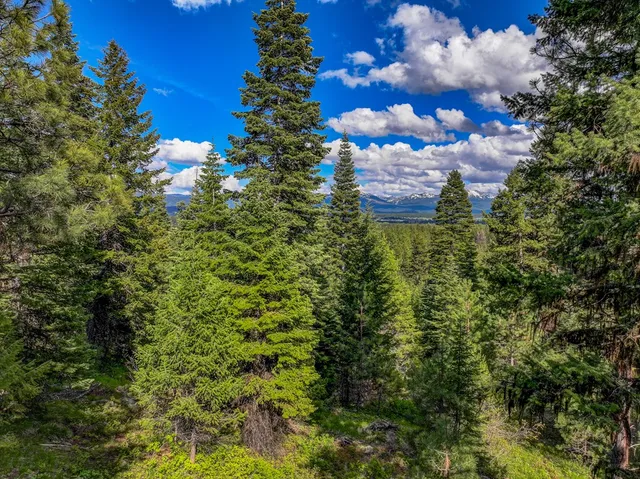 $437,250 | Tbd Lupine Lane, Unit 129, McCall, ID 83638