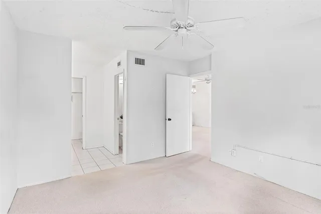 a view of backyard with large trees and plants