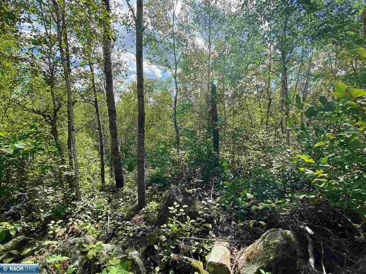 Tbd Lot 10 Wilderness Way Road Orr, MN 55771 - Photo 8 of 26 Gallery Image 8