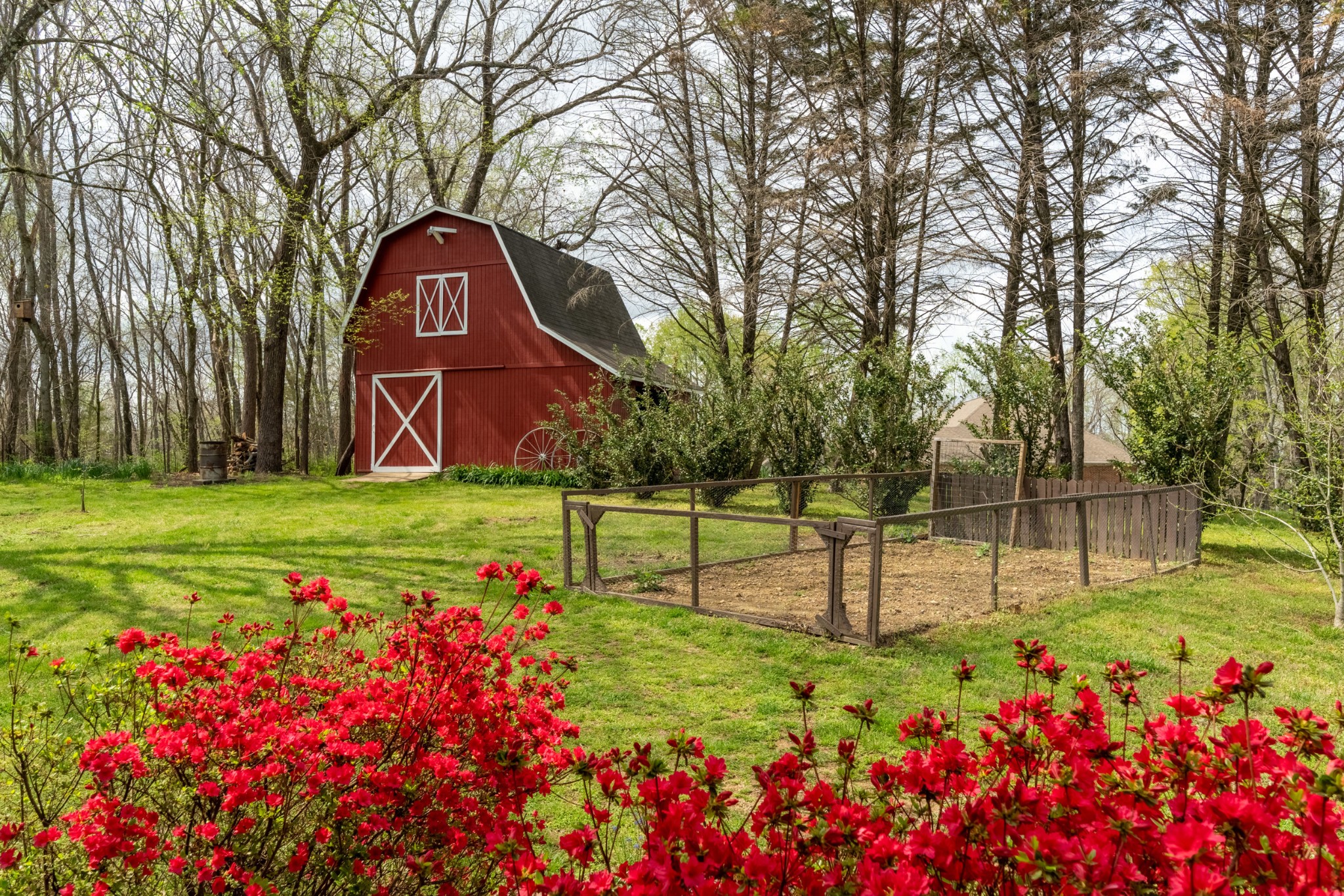 300 Wright Road Prospect, TN 38477 - Photo 17 of 65 a view of a garden with flowers and trees