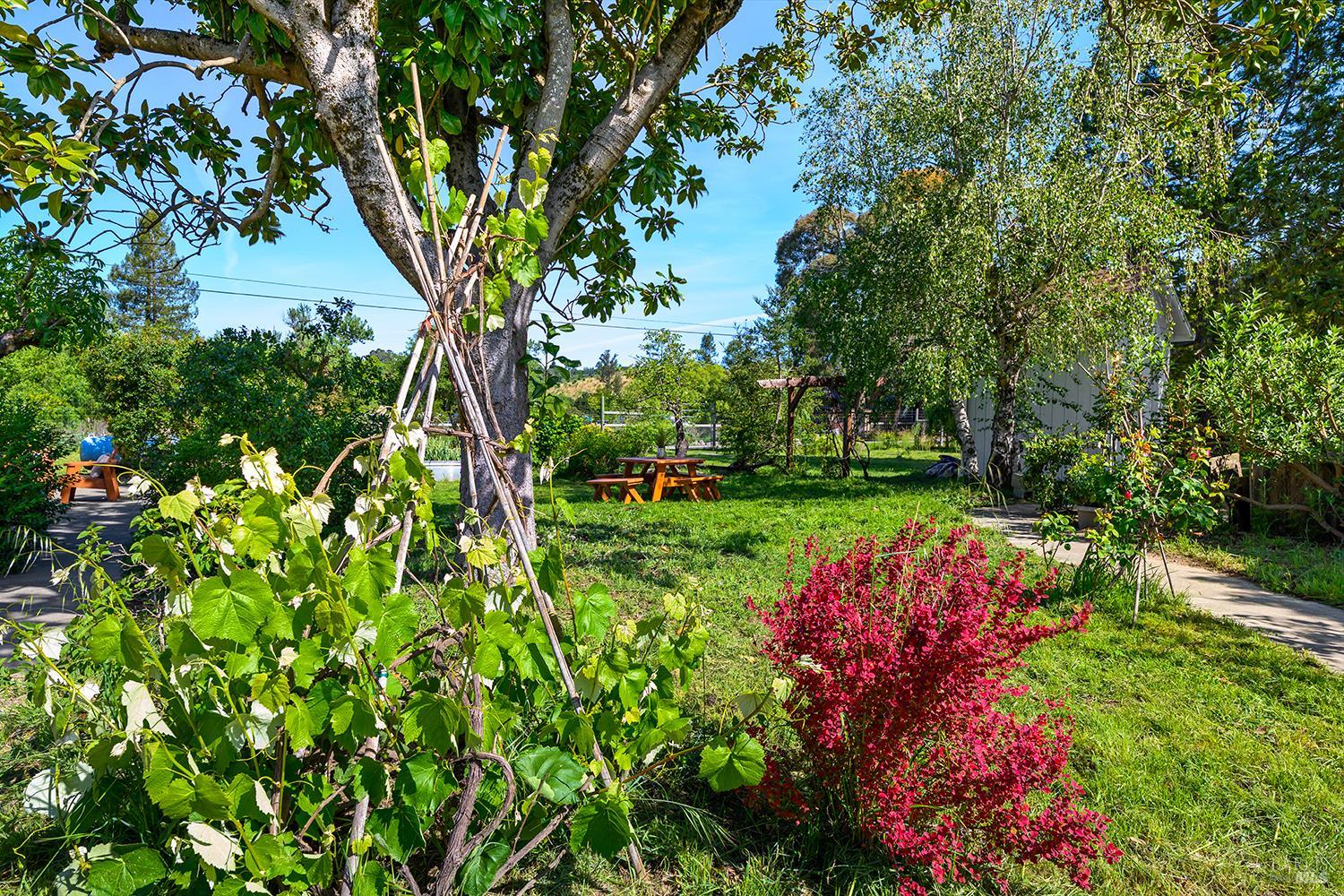 431 Sexton Road Sebastopol, CA 95472 - Photo 49 of 56