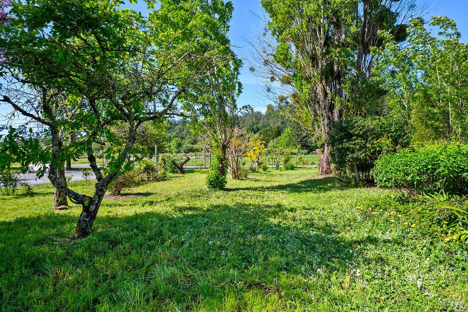 431 Sexton Road Sebastopol, CA 95472 - Photo 50 of 56