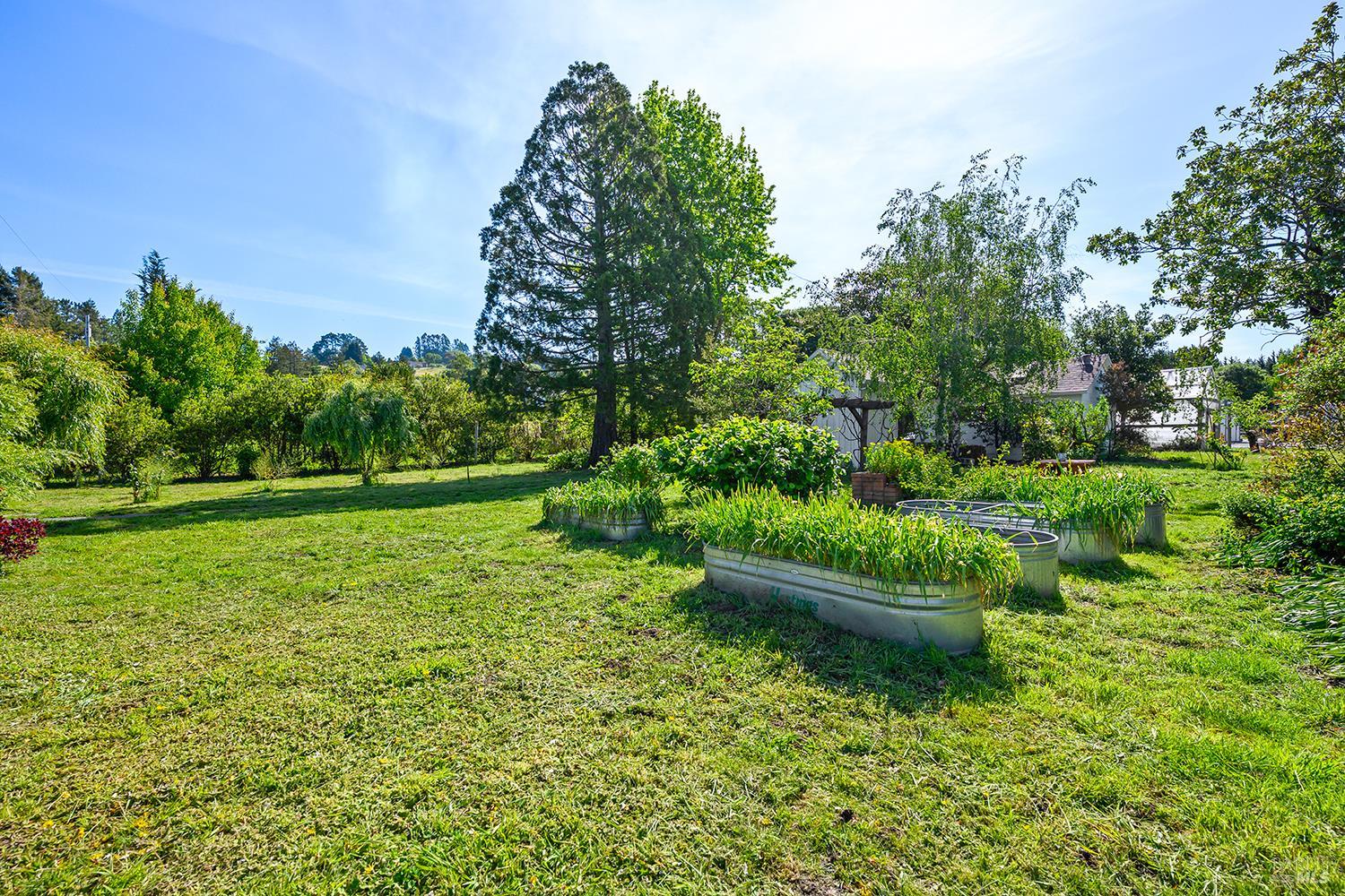 431 Sexton Road Sebastopol, CA 95472 - Photo 51 of 56