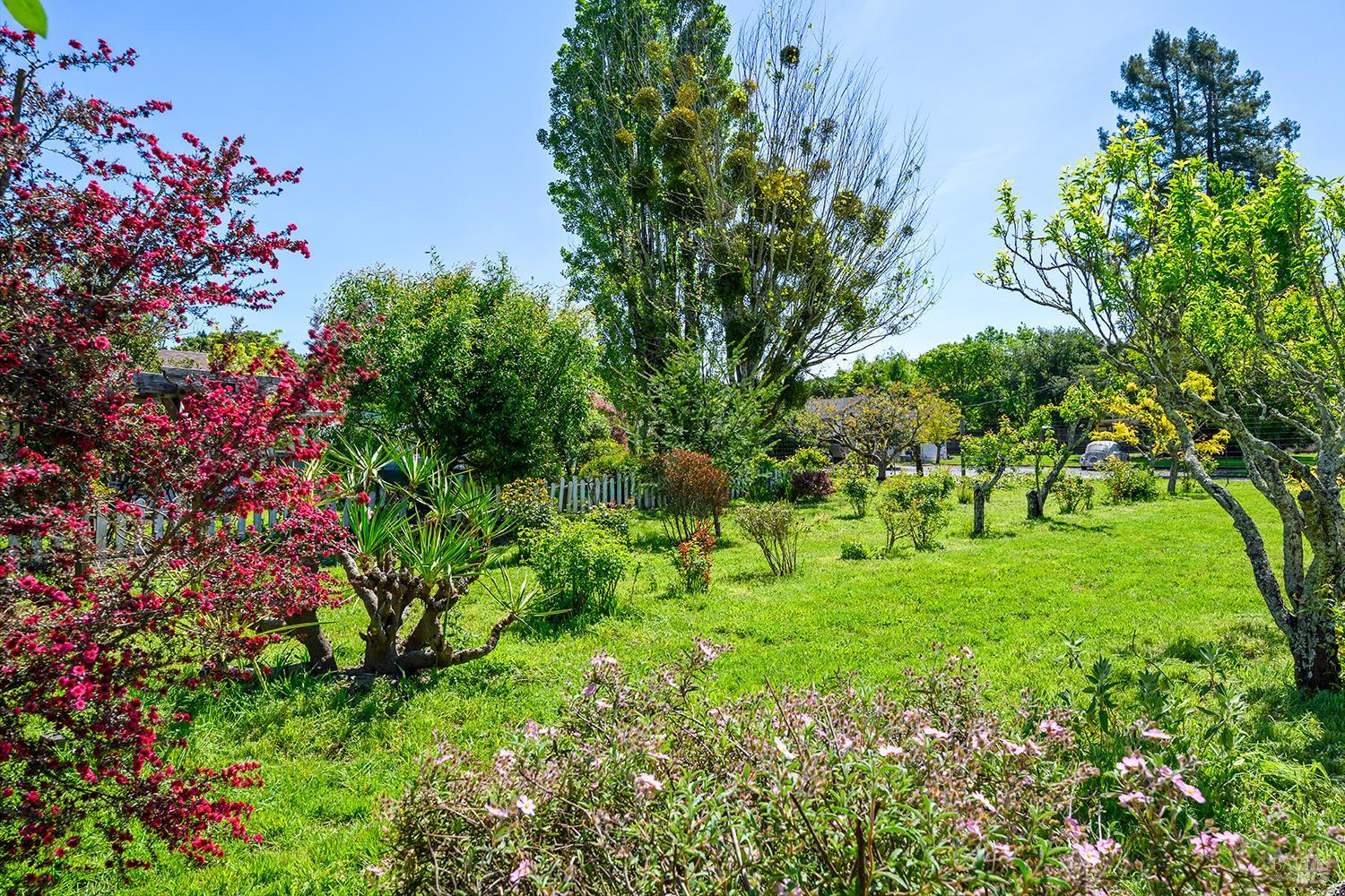 431 Sexton Road Sebastopol, CA 95472 - Photo 53 of 56