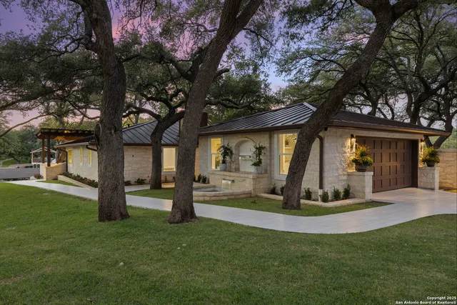 a view of a park with large trees