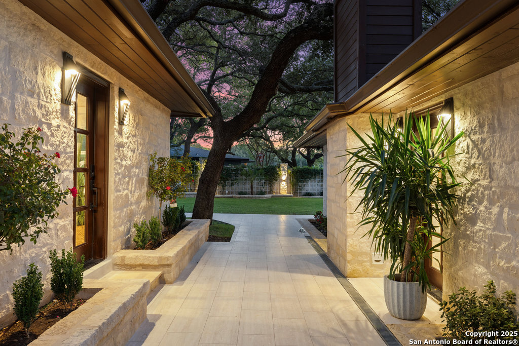 1310 Oak Springs Road Kingsland, TX 78639 - Photo 8 of 49 a view of backyard with plants and trees