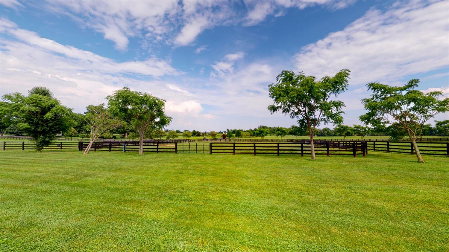 3065 Lexington Road Versailles, KY 40383 - Photo 14 of 48 Photo 14