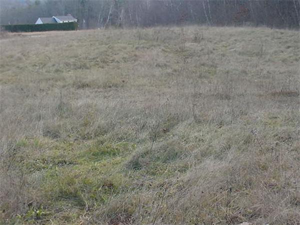 278 Osborne Road Ware, MA 01082 - Photo 5 of 8
