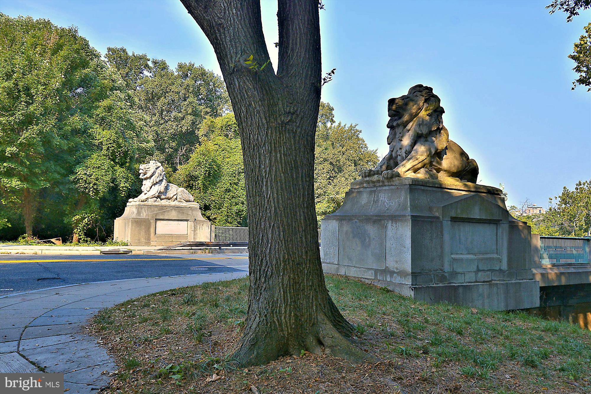 1114 Spring Road Northwest Washington, DC 20010 - Photo 129 of 142 Taft Bridge