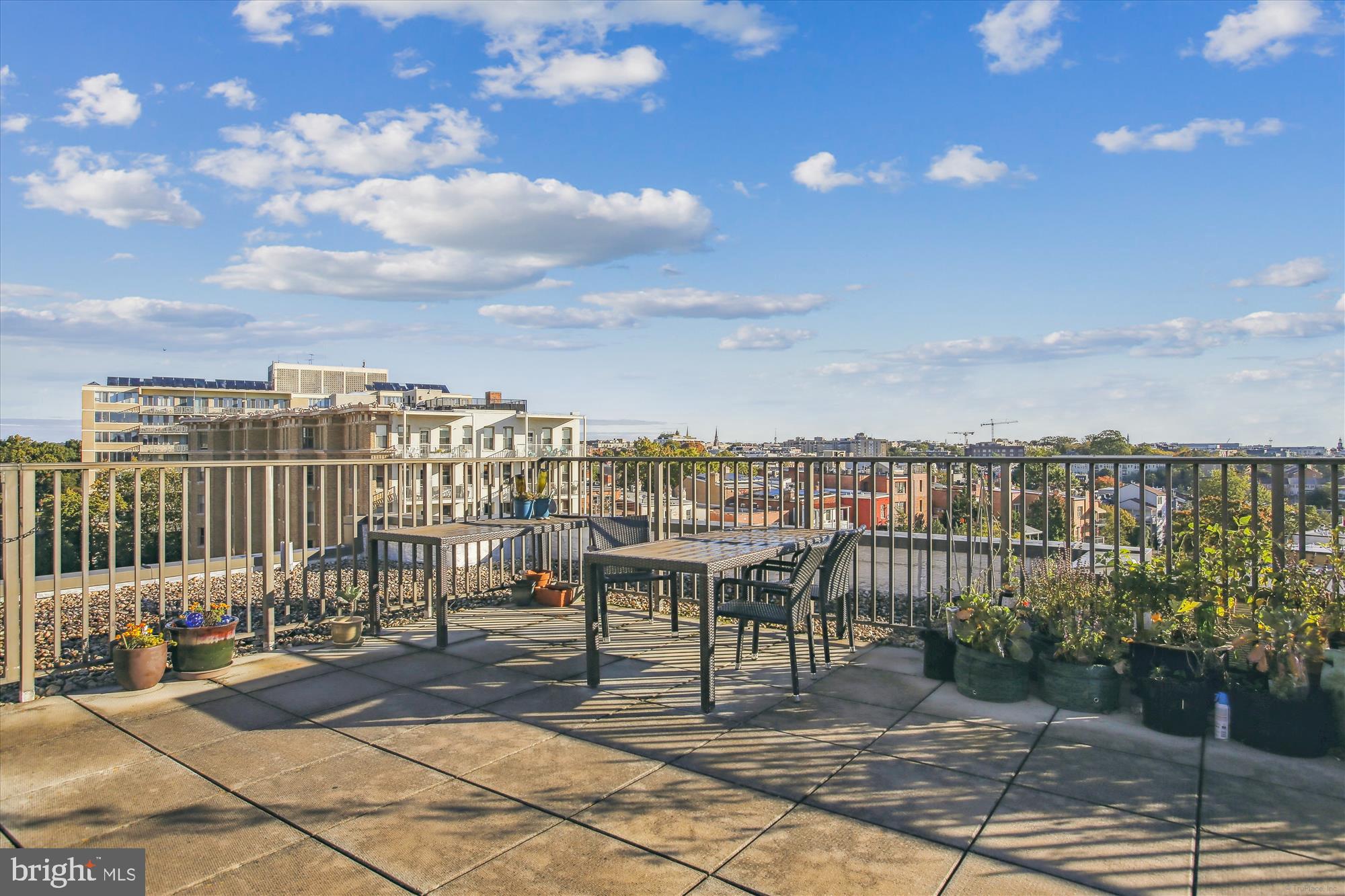 1114 Spring Road Northwest Washington, DC 20010 - Photo 138 of 142 Rooftop
