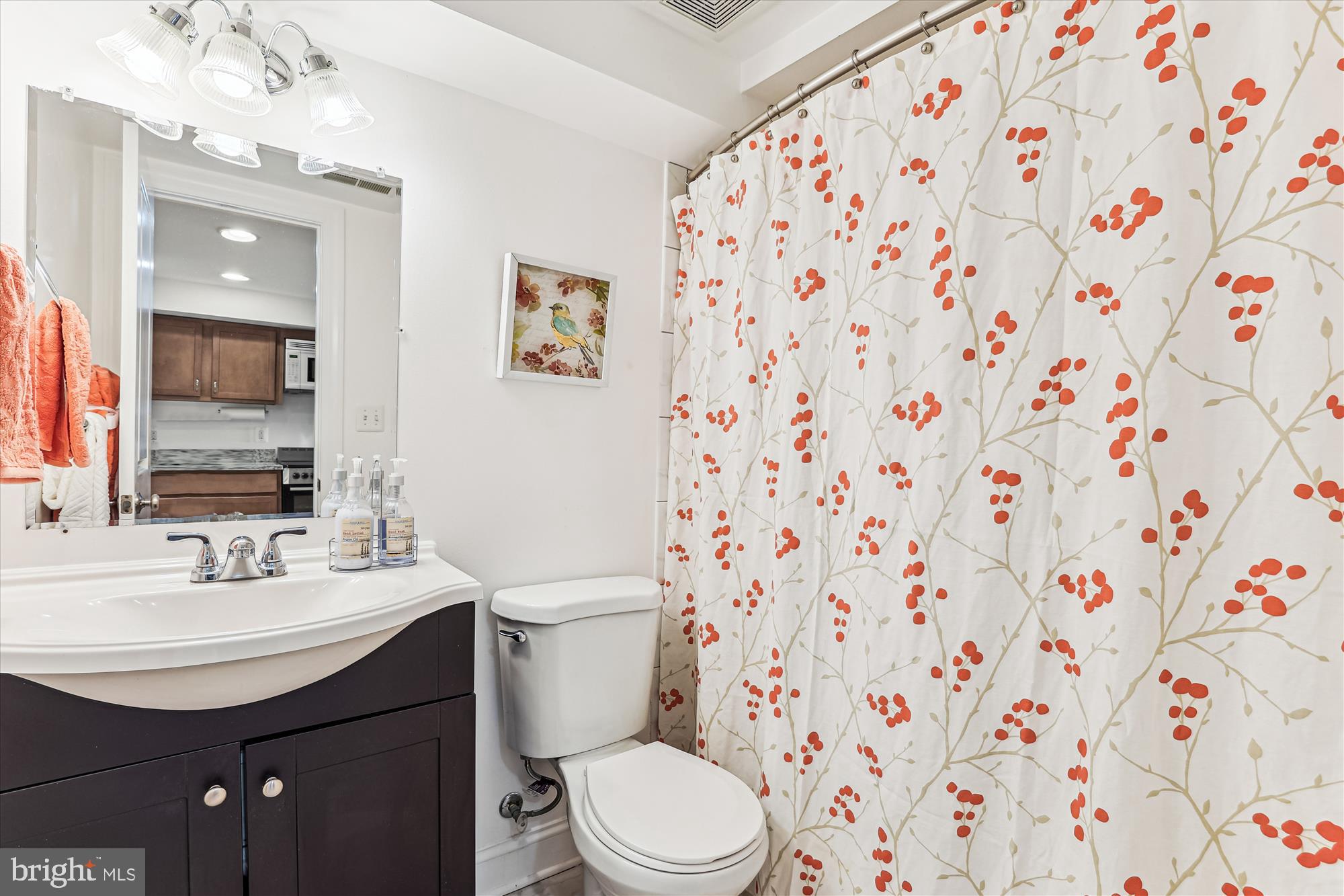 1114 Spring Road Northwest Washington, DC 20010 - Photo 53 of 142 LL Bath