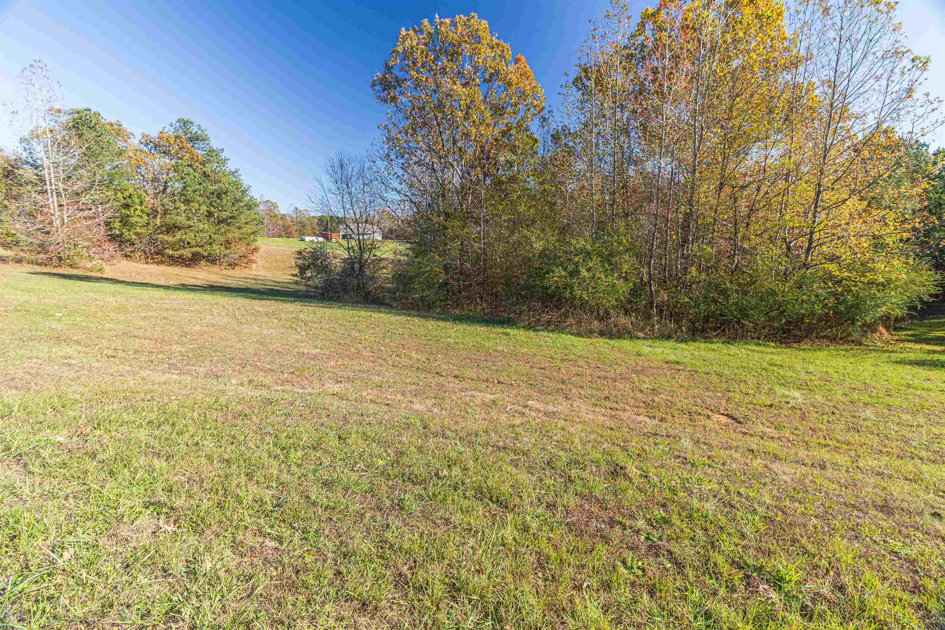 0 Purdy Road Selmer, TN 38375 - Photo 1 of 3 Gallery Image 1