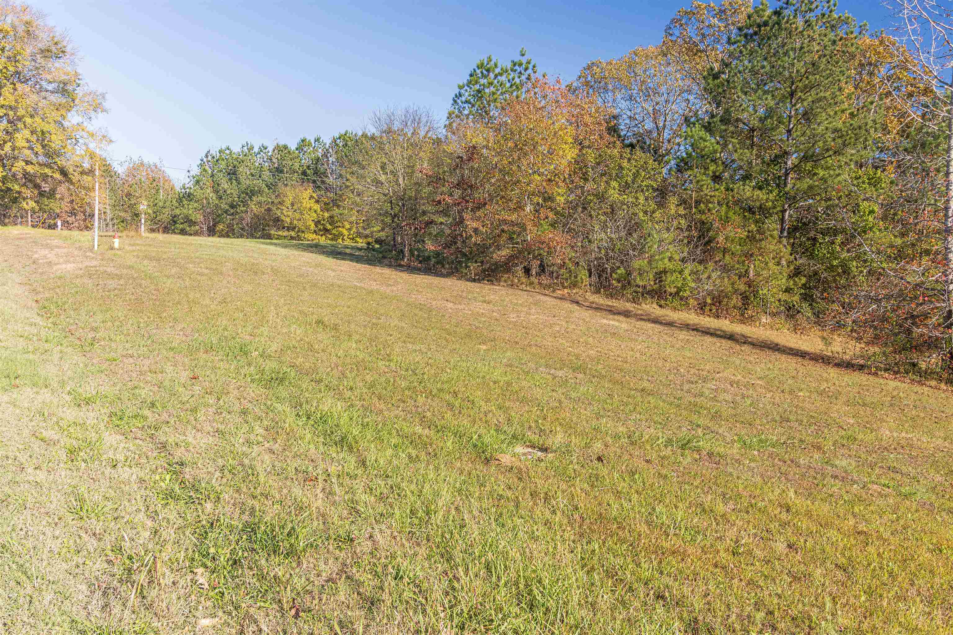 0 Purdy Road Selmer, TN 38375 - Photo 3 of 3 Gallery Image 3