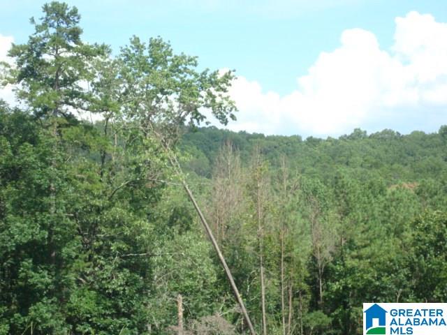 Evans Road Piedmont, AL 36272 - Photo 2 of 8