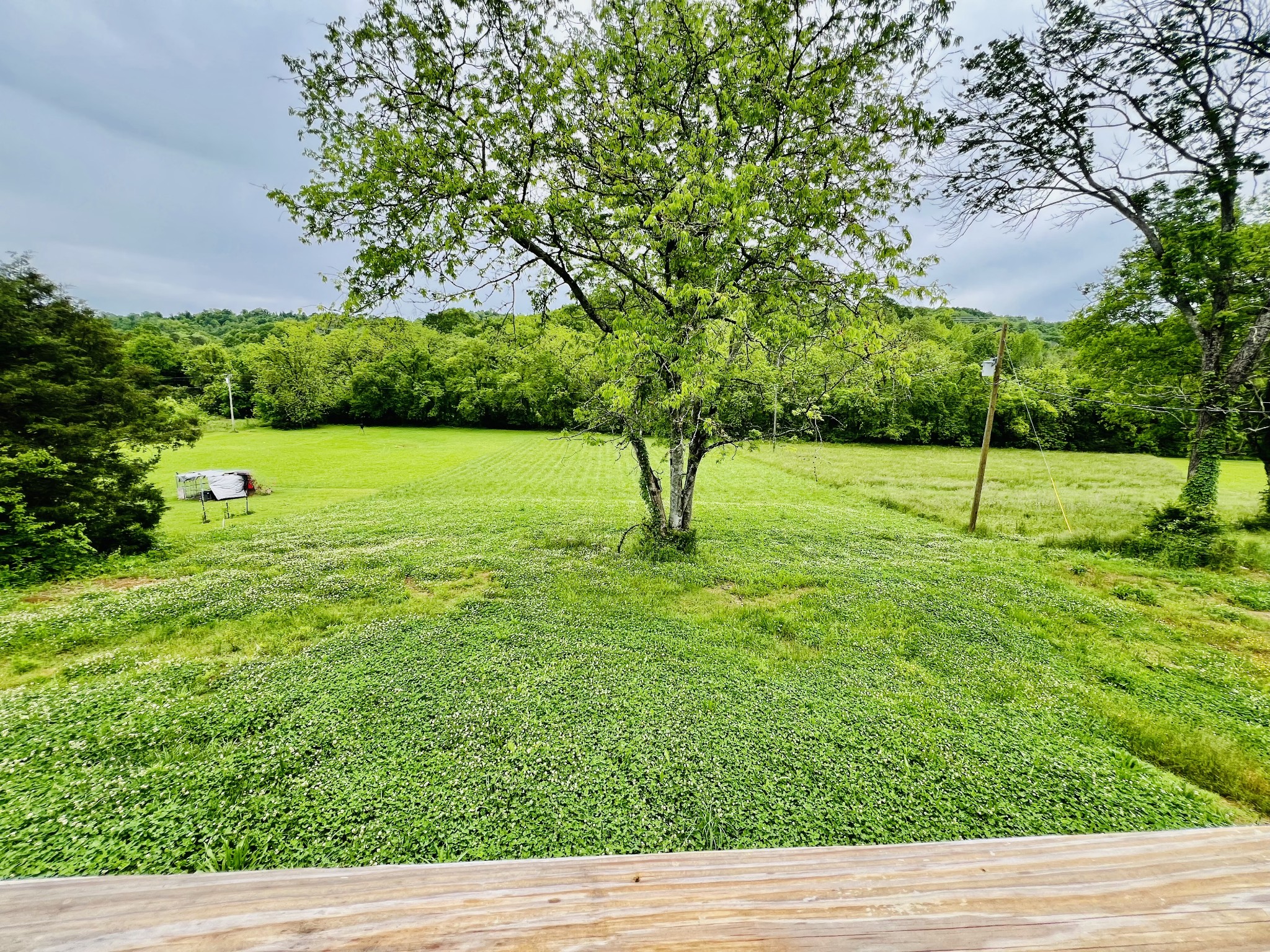 6 Short Creek Road Dellrose, TN 38453 - Photo 29 of 36
