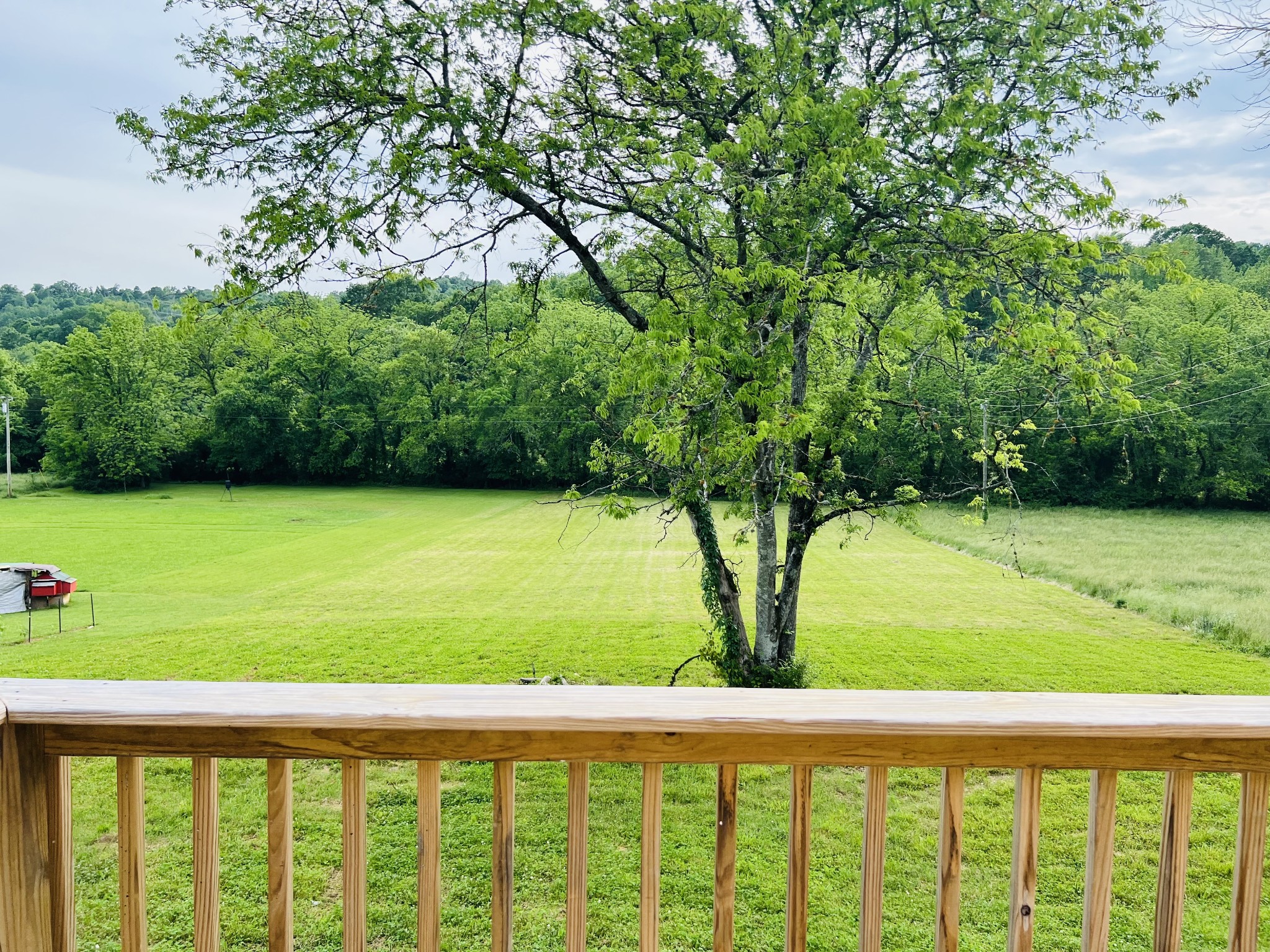 6 Short Creek Road Dellrose, TN 38453 - Photo 32 of 36