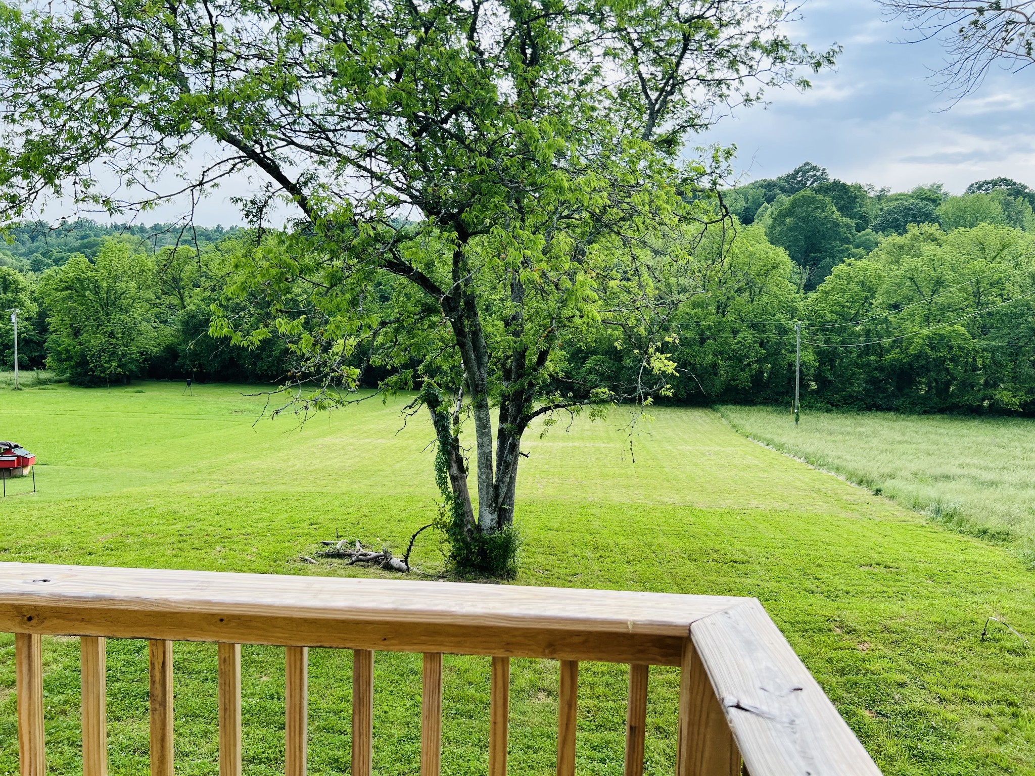 6 Short Creek Road Dellrose, TN 38453 - Photo 34 of 36