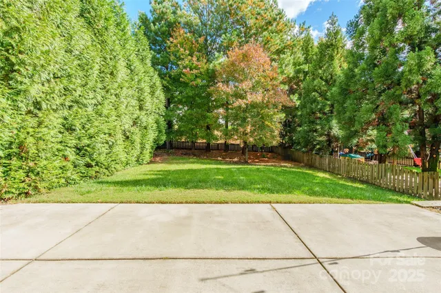 a view of a park with large trees