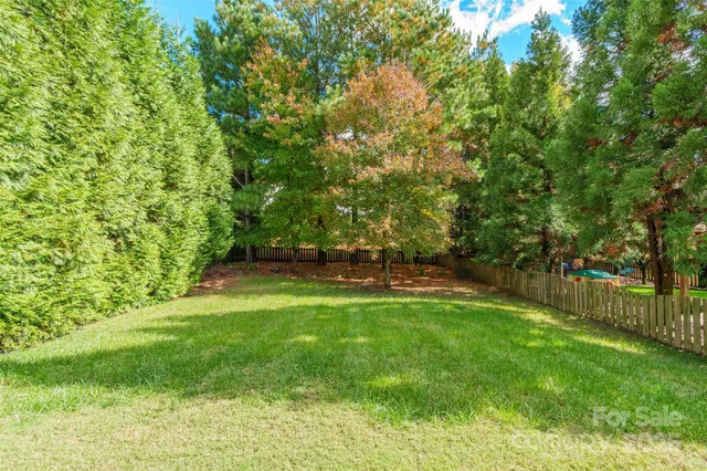 a view of green field with trees