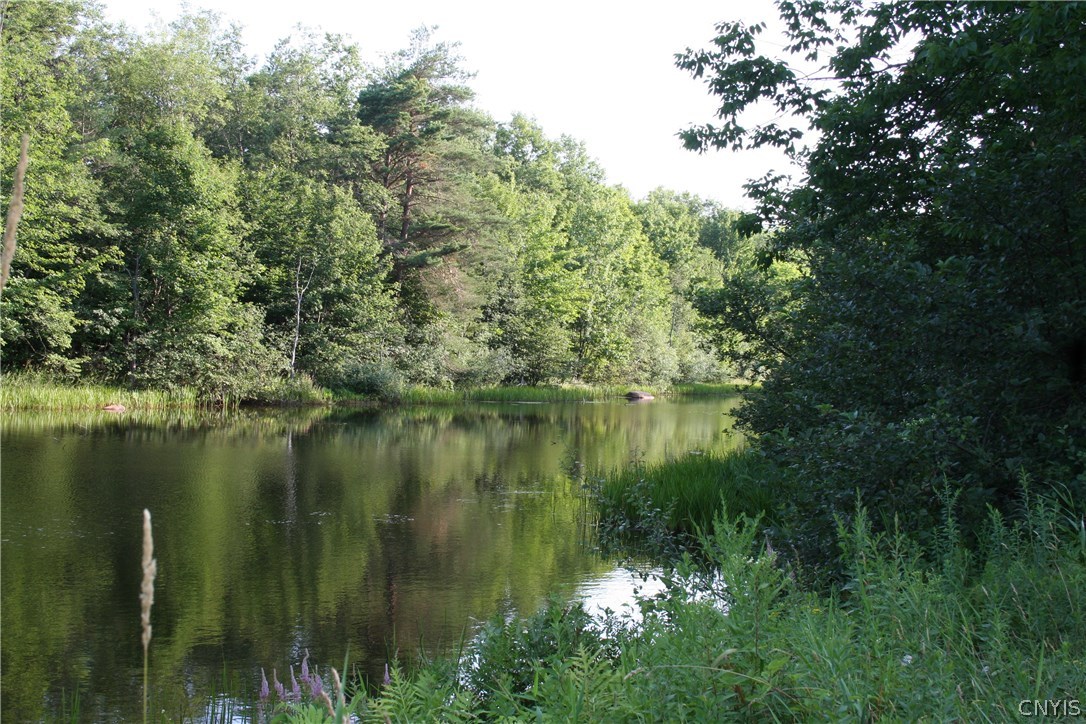 0 Sharp Road Lorraine, NY 13659 - Photo 7 of 10 Gallery Image 7