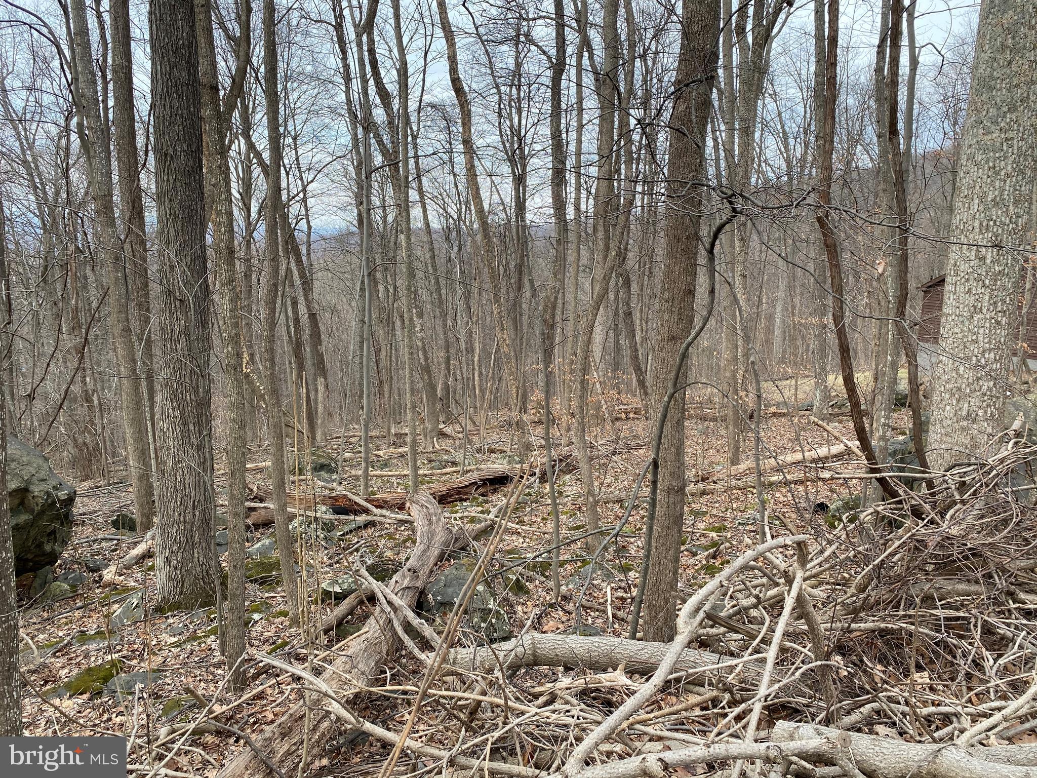 0 Ridge Top Lane Linden, VA 22642 - Photo 2 of 9