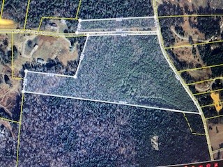 0 Carpenter Bridge Road Columbia, TN 38401 - Photo 1 of 3 a view of a fireplace