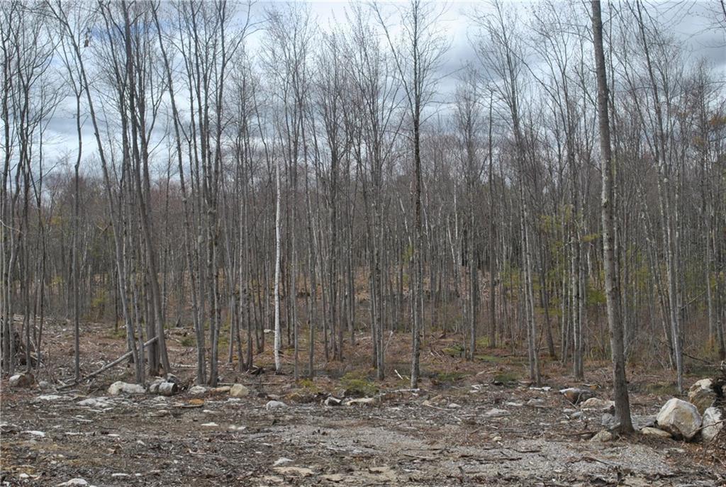 Lot R2 Deering Neighborhood Road Springvale, ME 04083 - Photo 6 of 8 Photo