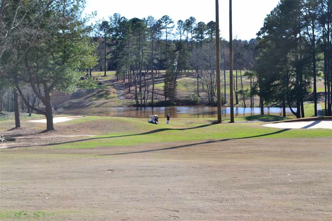 165 Settle Drive Inman, SC 29349 - Photo 9 of 16