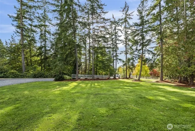 a backyard of apartments with large trees
