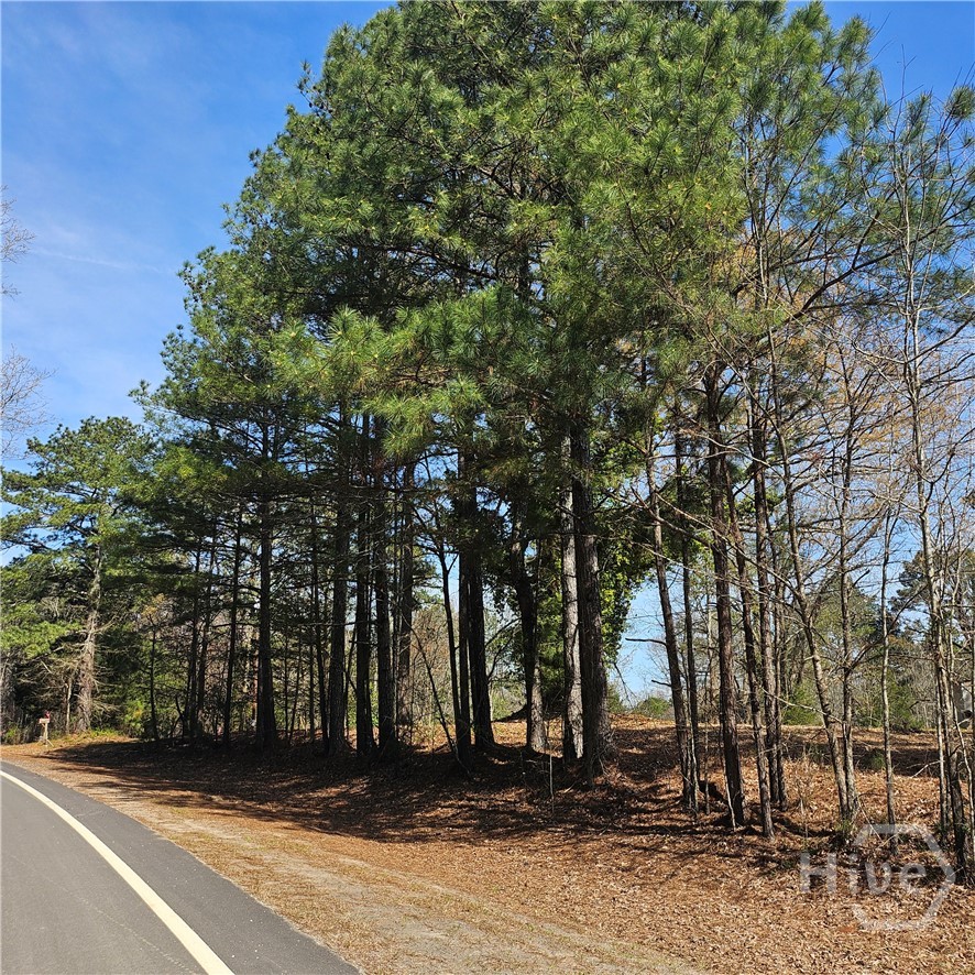 6291 Colham Ferry Road Watkinsville, GA 30677 - Photo 7 of 9 Gallery Image 7