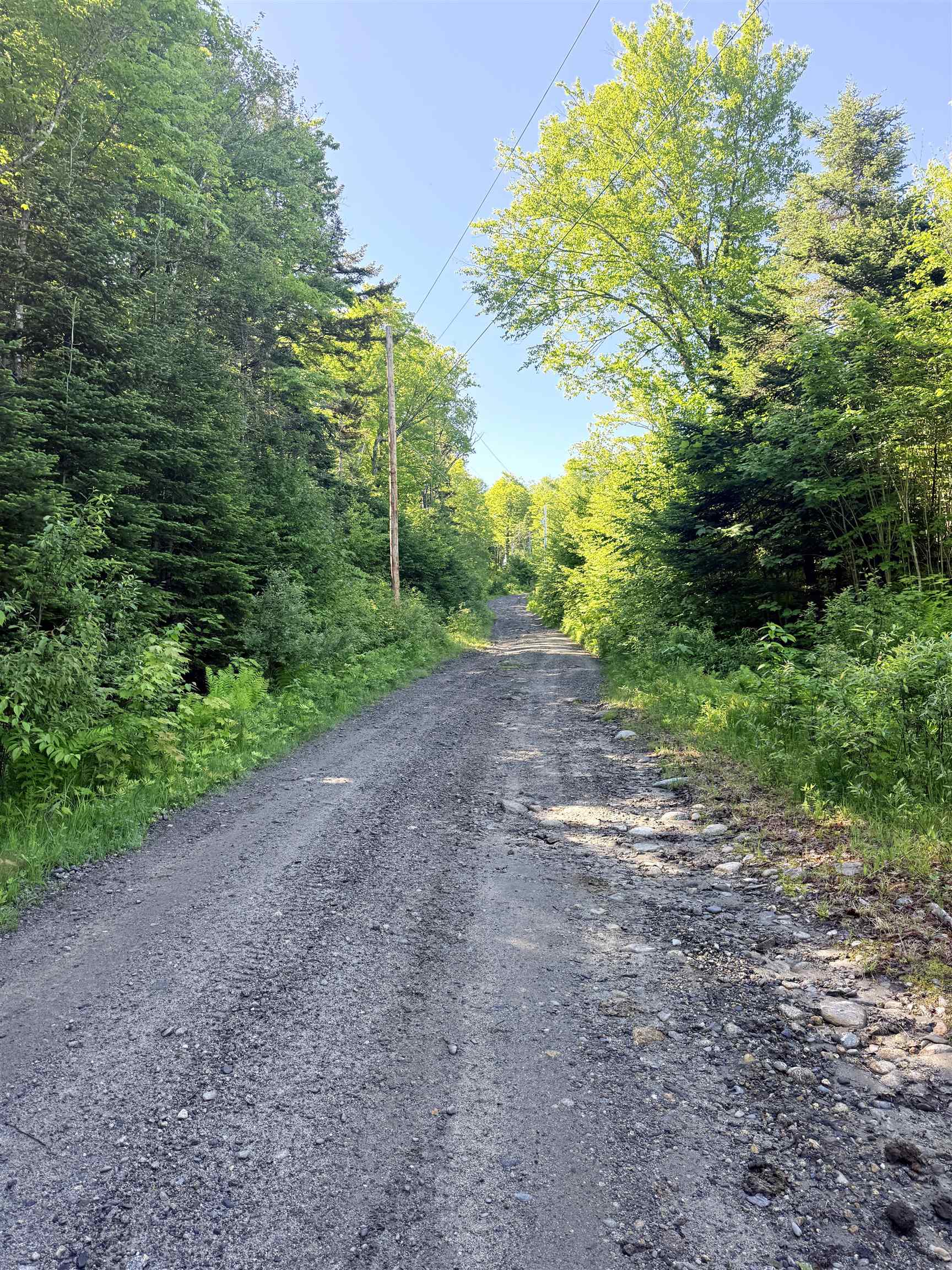 0 Tug Mountain Road Lunenburg, VT 05906 - Photo 12 of 18