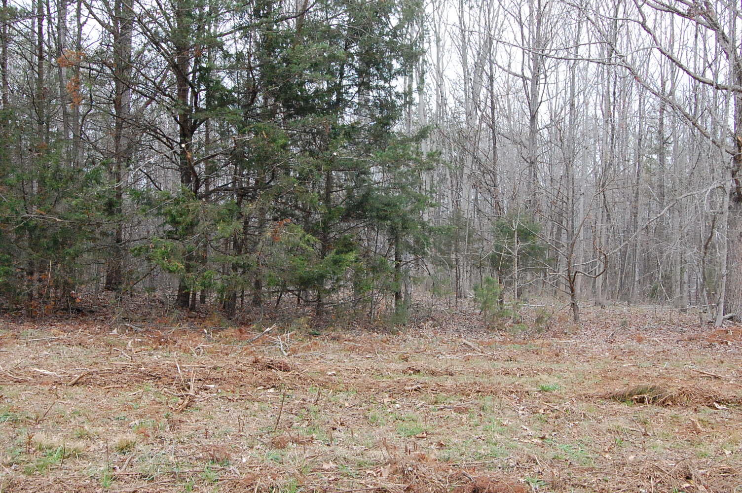 Lot 7 Dark Hollow Road Moneta, VA 24121 - Photo 2 of 4 DSC_0913